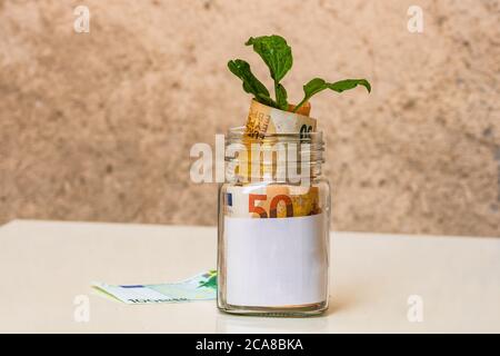 Pianta crescere da banconote in un vaso di vetro con spazio per testi, investimenti e finanza e concetto di crescita monetaria Foto Stock