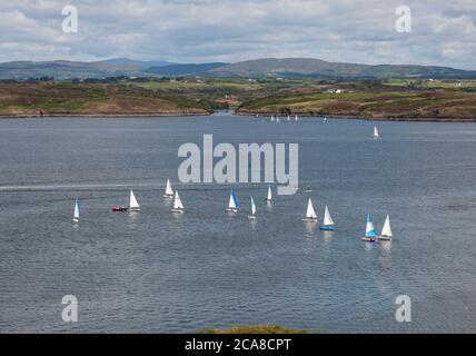 Baltimora, Cork, Irlanda. 3 Maggio 2020. Le barche a vela partono per una giornata sull'acqua nel porto di Baltimora, a West Cork, Irlanda. Credito; David Creedon / Foto Stock