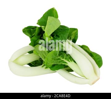 Cavolo cinese pak choi appena tagliato isolato su sfondo bianco Foto Stock