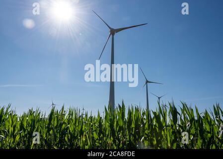 Hamersleben, Germania. 30 luglio 2020. Le turbine eoliche sono situate in un campo di mais. Credit: Stefano Nosini/dpa-Zentralbild/ZB/dpa/Alamy Live News Foto Stock