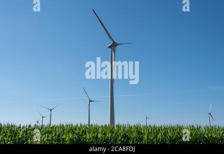 Hamersleben, Germania. 30 luglio 2020. Le turbine eoliche sono situate in un campo di mais. Credit: Stefano Nosini/dpa-Zentralbild/ZB/dpa/Alamy Live News Foto Stock