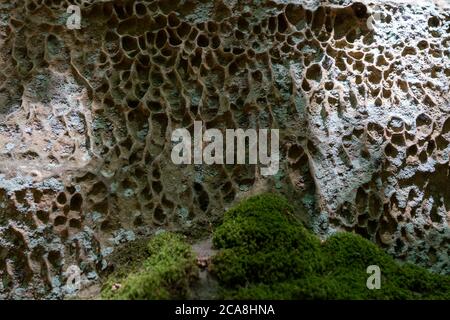 Gola del Diavolo, erosioni di arenaria nella roccia, vicino Irrel, Parco Naturale Südeifel, Rheinland-Pflanz, Germania, Foto Stock