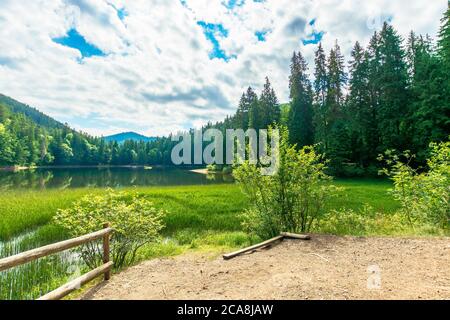 paesaggio intorno al lago in montagna. bosco di abete rosso sulla riva. riflessione in acqua. tempo soleggiato con nuvole sul cielo blu Foto Stock