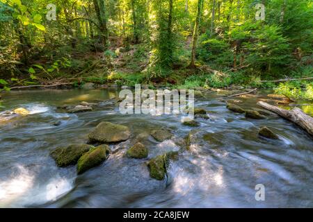 Le cascate Irreler, rapide nella parte inferiore della Prüm tra Prümzurlay e Irrel, nel quartiere Eifel di Bitburg-Prüm, Renania-Palatin Foto Stock