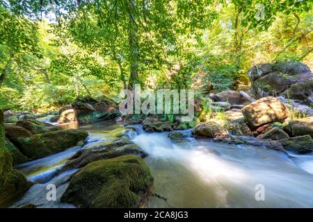 Le cascate Irreler, rapide nella parte inferiore della Prüm tra Prümzurlay e Irrel, nel quartiere Eifel di Bitburg-Prüm, Renania-Palatin Foto Stock