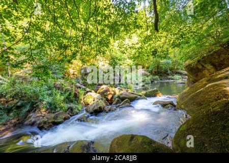 Le cascate Irreler, rapide nella parte inferiore della Prüm tra Prümzurlay e Irrel, nel quartiere Eifel di Bitburg-Prüm, Renania-Palatin Foto Stock