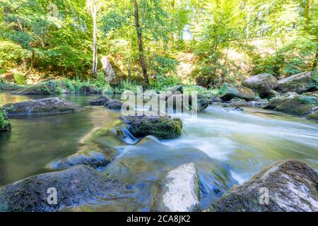 Le cascate Irreler, rapide nella parte inferiore della Prüm tra Prümzurlay e Irrel, nel quartiere Eifel di Bitburg-Prüm, Renania-Palatin Foto Stock