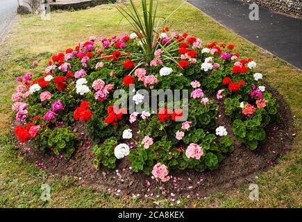 East Budleigh in fiore mostra. Anche un'esposizione di minedness civico. Foto Stock