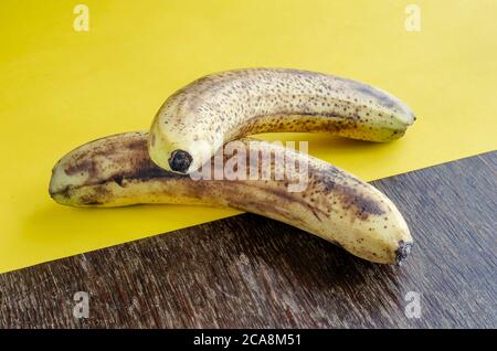 Due banane supermature con macchie marroni su sfondo bicolore. Frutta dolce su sfondo giallo-marrone. Vista laterale. Messa a fuoco selettiva. Foto Stock