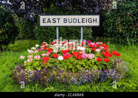 East Budleigh in fiore mostra. Anche un'esposizione di minedness civico. Foto Stock