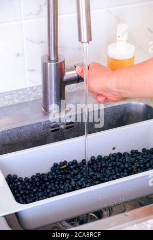 Donna mano che apre l'acqua nel lavello della cucina a lavarsi i mirtilli Foto Stock