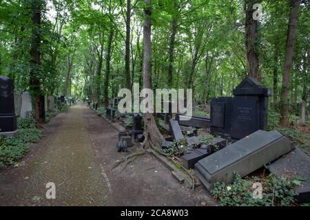 Friedhof Weißensee, cimitero di Weissensee, il più grande cimitero ebraico d'Europa Foto Stock