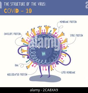 Illustrazione vettoriale con carattere cartoon coronavirus. Schema della struttura virale per un poster per bambini. Illustrazione Vettoriale