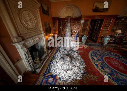 Paula Martin, responsabile delle collezioni Harewood House, fotografa 'Discharge', una scultura realizzata con 10,000 piume di piccione dell'artista Kate MccGwire, nella biblioteca principale di Harewood House a Leeds, Questo fa parte di una mostra inedita 'Menagerie', dopo che la casa di Harewood riaprì al pubblico in seguito all'allentamento delle restrizioni di blocco in Inghilterra. Foto Stock