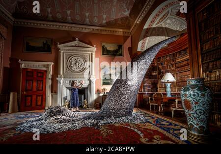 Paula Martin, responsabile delle collezioni Harewood House, fotografa 'Discharge', una scultura realizzata con 10,000 piume di piccione dell'artista Kate MccGwire, nella biblioteca principale di Harewood House a Leeds, Questo fa parte di una mostra inedita 'Menagerie', dopo che la casa di Harewood riaprì al pubblico in seguito all'allentamento delle restrizioni di blocco in Inghilterra. Foto Stock