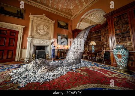 Paula Martin, responsabile delle collezioni Harewood House, fotografa 'Discharge', una scultura realizzata con 10,000 piume di piccione dell'artista Kate MccGwire, nella biblioteca principale di Harewood House a Leeds, Questo fa parte di una mostra inedita 'Menagerie', dopo che la casa di Harewood riaprì al pubblico in seguito all'allentamento delle restrizioni di blocco in Inghilterra. Foto Stock