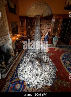 Paula Martin, responsabile delle collezioni Harewood House, fotografa 'Discharge', una scultura realizzata con 10,000 piume di piccione dell'artista Kate MccGwire, nella biblioteca principale di Harewood House a Leeds, Questo fa parte di una mostra inedita 'Menagerie', dopo che la casa di Harewood riaprì al pubblico in seguito all'allentamento delle restrizioni di blocco in Inghilterra. Foto Stock