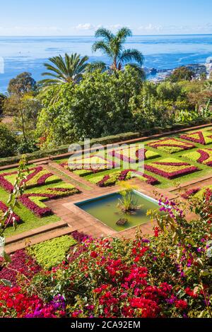 Giardini botanici, Monte, Funchal, Madeira, Portogallo, Atlantico, Europa Foto Stock