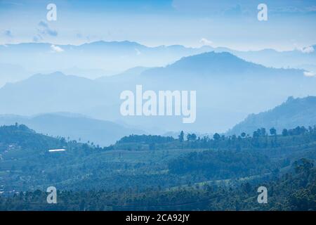 Heritance Tea Estate, Nuwara Eliya, Provincia Centrale, Sri Lanka, Asia Foto Stock