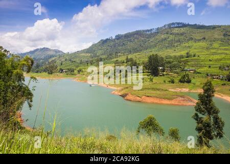 Lago di Castlereagh, Hatton, Provincia Centrale, Sri Lanka, Asia Foto Stock