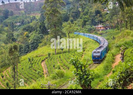 Kandy a Badulla treno lungo la tenuta del tè vicino Nuwara Eliya, Nuwara Eliya, Provincia Centrale, Sri Lanka, Asia Foto Stock