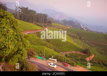 Strada che si snoda attraverso le tenute del tè Munnar, Munnar, Kerala, India, Asia Foto Stock