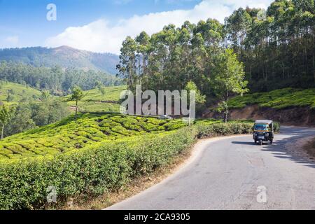 Auto risciò sulla strada passando da Tea estate, Munnar, Kerala, India, Asia Foto Stock