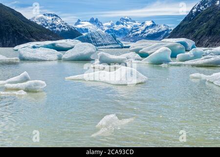 Lago glaciale con piccoli iceberg galleggianti, Laguna San Rafael National Park, Regione di Aysen, Patagonia, Cile, Sud America Foto Stock
