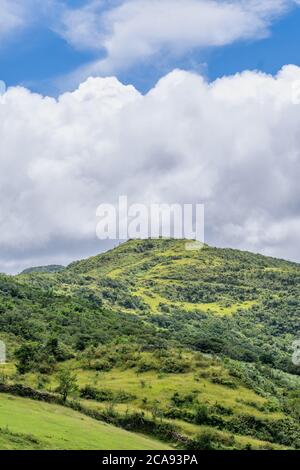 Bella prateria, prateria nella valle di Taoyuan, Caoling Mountain Trail passa sopra la vetta del Monte Wankengtou a Taiwan. Foto Stock