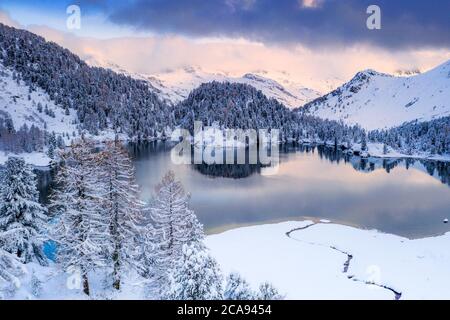 Alba sul Lago di Cavloc dopo una nevicata, Valle di Bregaglia, Engadina, cantone di Graubunden, Svizzera, Europa Foto Stock