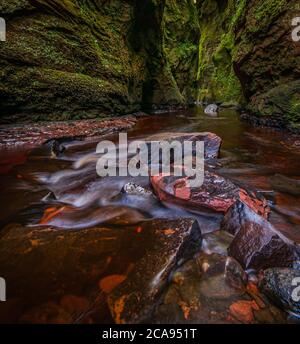 La gola di Finnich Glen, conosciuta come Devils Pulpit vicino Killearn, Stirling, Scozia, Regno Unito, Europa Foto Stock