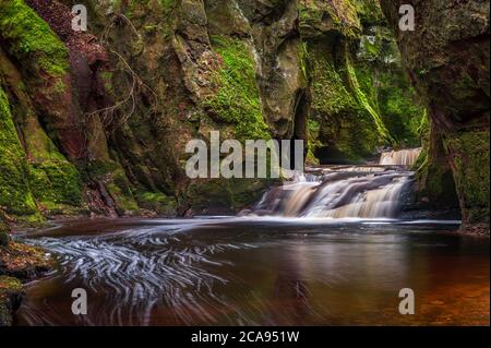 La gola di Finnich Glen, conosciuta come Devils Pulpit vicino Killearn, Stirling, Scozia, Regno Unito, Europa Foto Stock