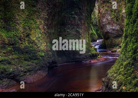 La gola di Finnich Glen, conosciuta come Devils Pulpit vicino Killearn, Stirling, Scozia, Regno Unito, Europa Foto Stock