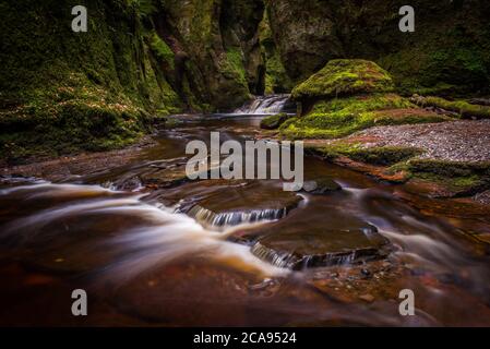 La gola di Finnich Glen, conosciuta come Devils Pulpit vicino Killearn, Stirling, Scozia, Regno Unito, Europa Foto Stock