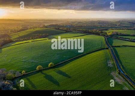 Foto aerea della campagna ondulata in luce notturna, Livaton, Devon, Inghilterra, Regno Unito, Europa Foto Stock