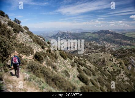 Un escursionista gode di una vista sulle montagne dal Parque Natural Sierra de Da Grazalema a El Gastor e Olvera Foto Stock