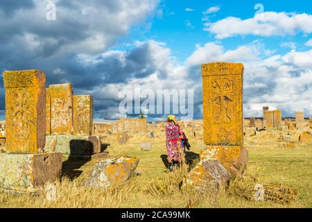 Khachkars medievale scolpita stele commemorativa, Noratus cimitero, Lago Sevan, provincia di Gegharkunik, Armenia, Caucaso, Medio Oriente, Asia, per uso editoriale Foto Stock