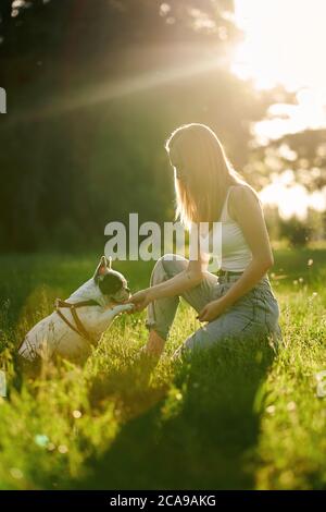 Vista laterale di un animale domestico elegante purebred che dà zampa al proprietario di cane femmina, bellissimo tramonto estivo sullo sfondo. Giovane donna sorridente allenando il bulldog francese nel parco cittadino, regalando delizie. Concetto di addestramento degli animali. Foto Stock