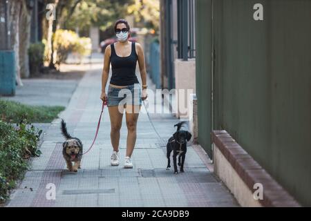 Fuoco selettivo di una donna in una maschera che cammina con cani - concetto di nuova normalità Foto Stock