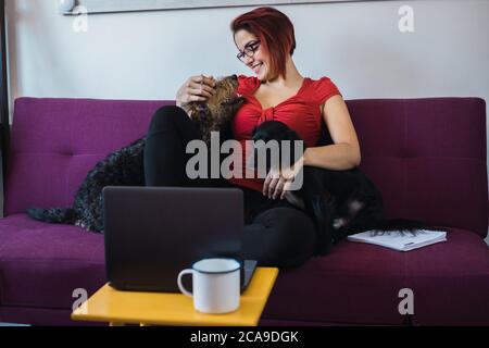 Primo piano di una giovane bella donna seduta sul divano e giocare con i cani Foto Stock