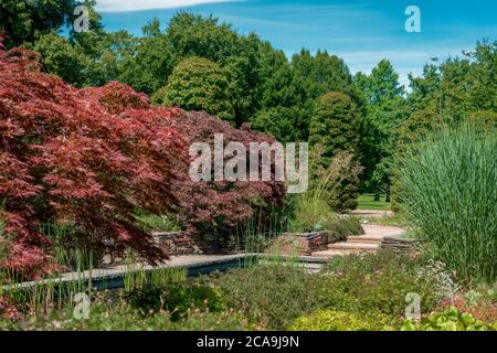 formale giardino rettangolare murato con un laghetto e acer rosso alberi Foto Stock