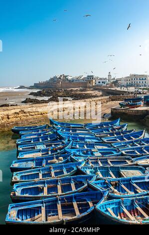 Barche da pesca nel porto di Essaouira, Marocco Foto Stock