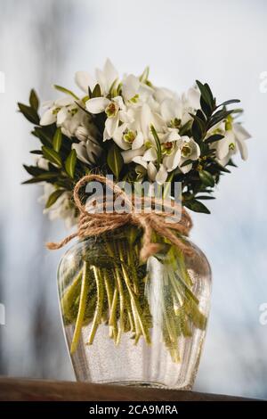 Un bouquet di piccole nevicate fresche in un vaso di vetro all'aperto. Mazzo di fiori. Galanthus nivalis Foto Stock