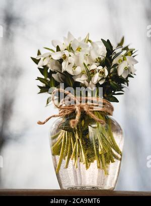Un bouquet di piccole nevicate fresche in un vaso di vetro all'aperto. Mazzo di fiori. Galanthus nivalis Foto Stock
