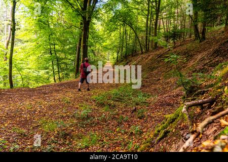 Sentiero forestale vicino Manderscheid, Eifel vulcanico, Eifel, Renania-Palatinato, Germania, Foto Stock