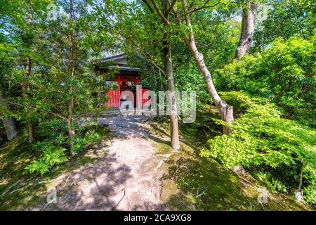 Yoshikien Garden a Nara è una delle principali attrazioni turistiche, giardino giapponese con sala da tè, Giappone. Foto Stock