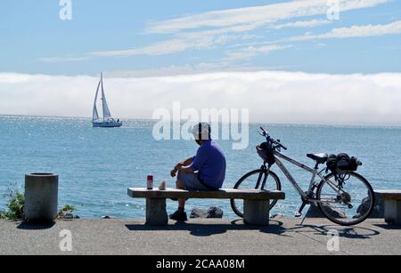 il ciclista siede sulla panchina a sausalito guardando la barca a vela sulla baia di san francisco nella nebbia mattutina Foto Stock