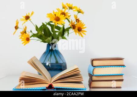 Accogliente arredamento interno: Pila di libri, mela verde, cuscini  decorativi, scatola blu con plaid e vaso con fiore bianco su un tavolo di  vetro. Distanza Foto stock - Alamy