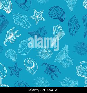 Conchiglie e vettore di stelle marine modello senza giunture Illustrazione Vettoriale