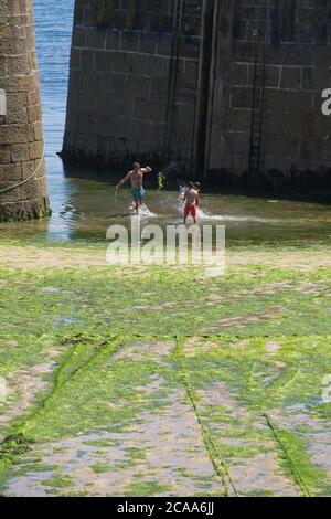 Ingresso al porto di Mousehole in pietra a bassa marea Adulti e bambini che giocano e spruzzano nell'acqua Green alghe in primo piano. Formato verticale Foto Stock